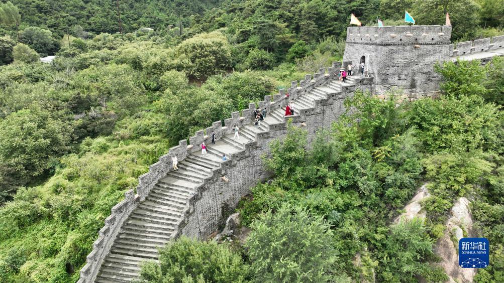 新濠三元小玛丽水果机